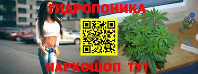 бошки Владивосток