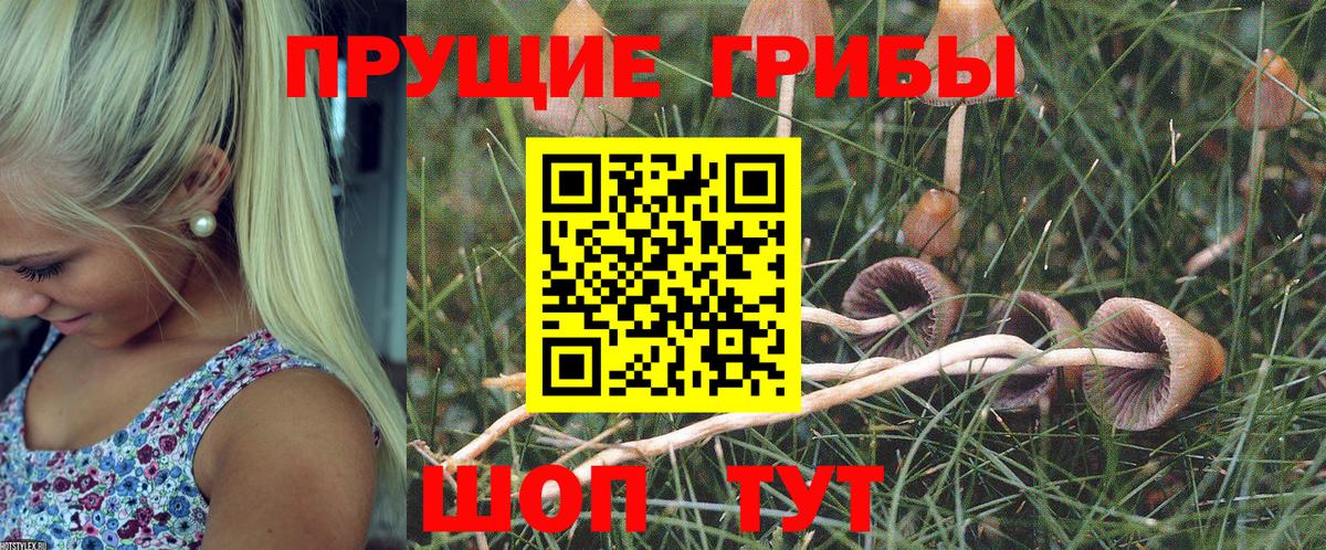 Псилоцибиновые грибы Psilocybine cubensis  Псилоцибиновые грибы ЛСД  Вход с VPN  Великие Луки 
